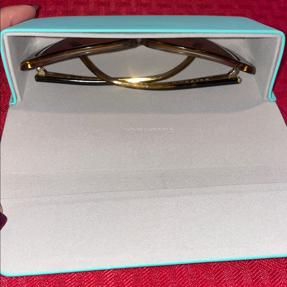 Tiffany & Co. Turquoise Sunglasses Case - Picture 9 of 9
